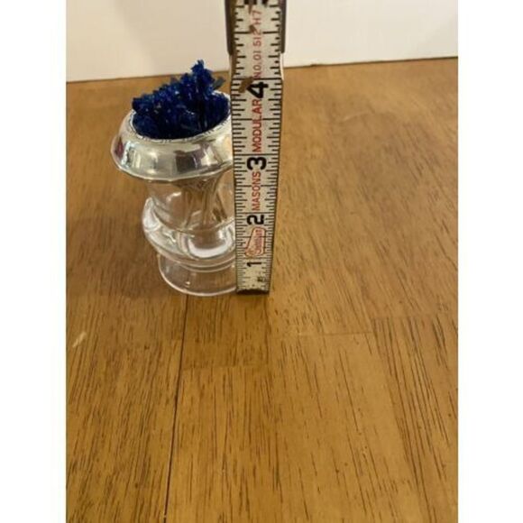 Antique STERLING SILVER and GLASS TOOTHPICK HOLDER SIGNED FRANK M. WHITING - Picture 3 of 5